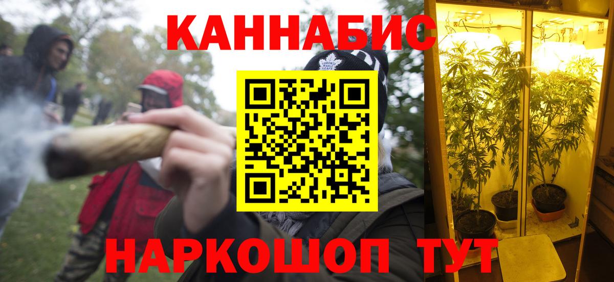 Каннабис план Воронеж